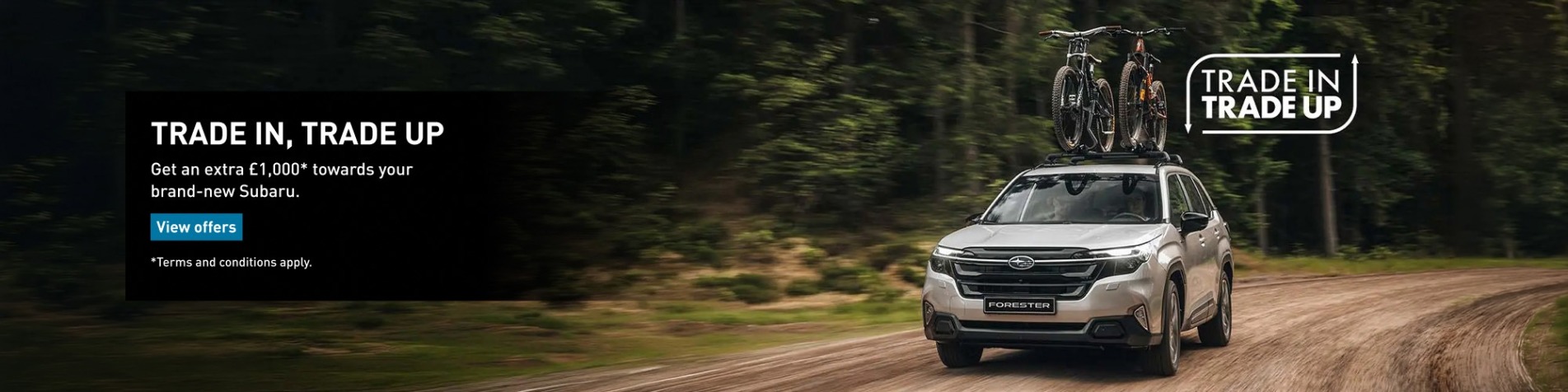 subarutradeintradeout